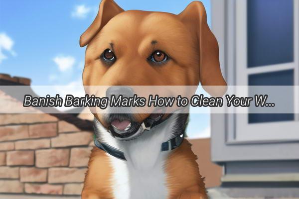 Banish Barking Marks How to Clean Your Walls from Furry Fidos Messes Like a Pro